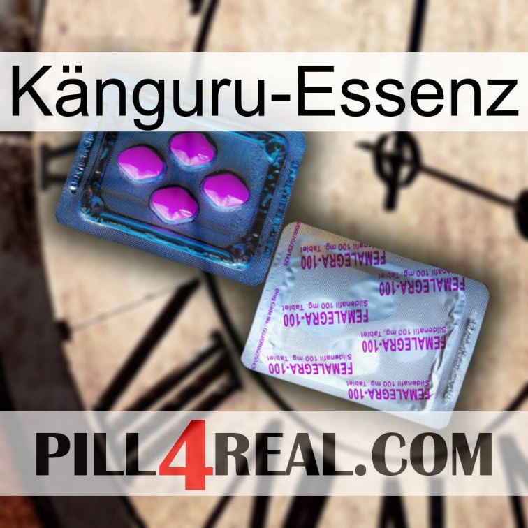 Känguru-Essenz 37